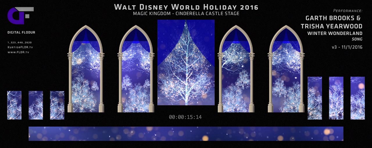 Disney Parks Holiday Specials 2016 - Show Look