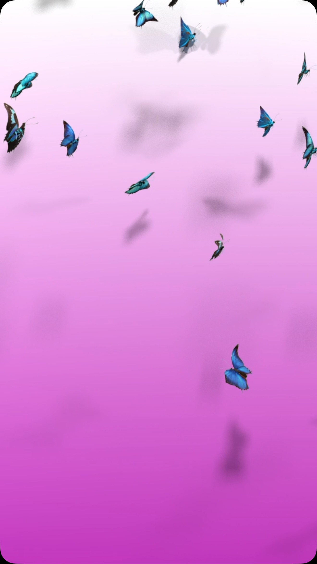 Some Butterflies for #dollyparton you will be missed so much.